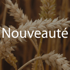 Farine de petit épeautre