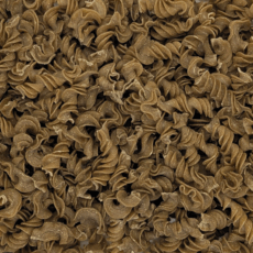 Pâtes tortillons au petit épeautre