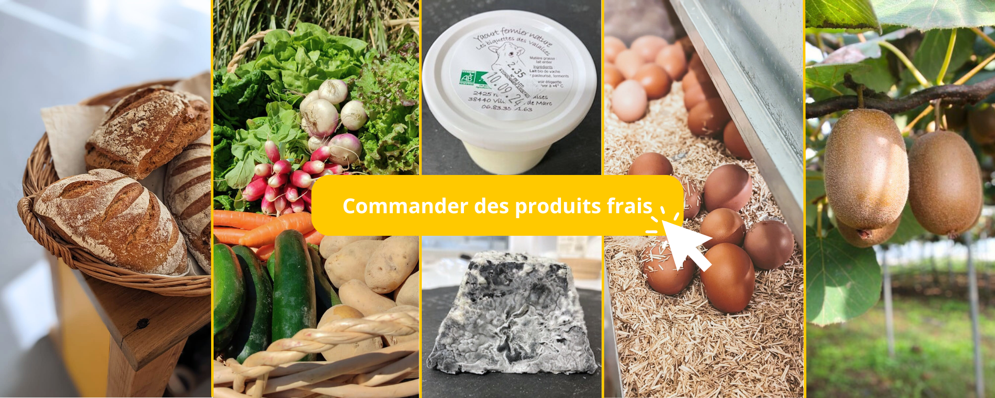 Bandeau site internet (4)